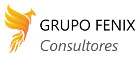 Grupo Fenix consultores